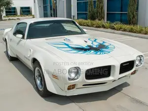 Intake/unopened Hot Wheels '73 Pontiac Firebird