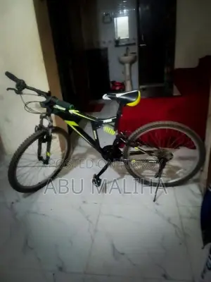 Finiss Bicycle for Sale