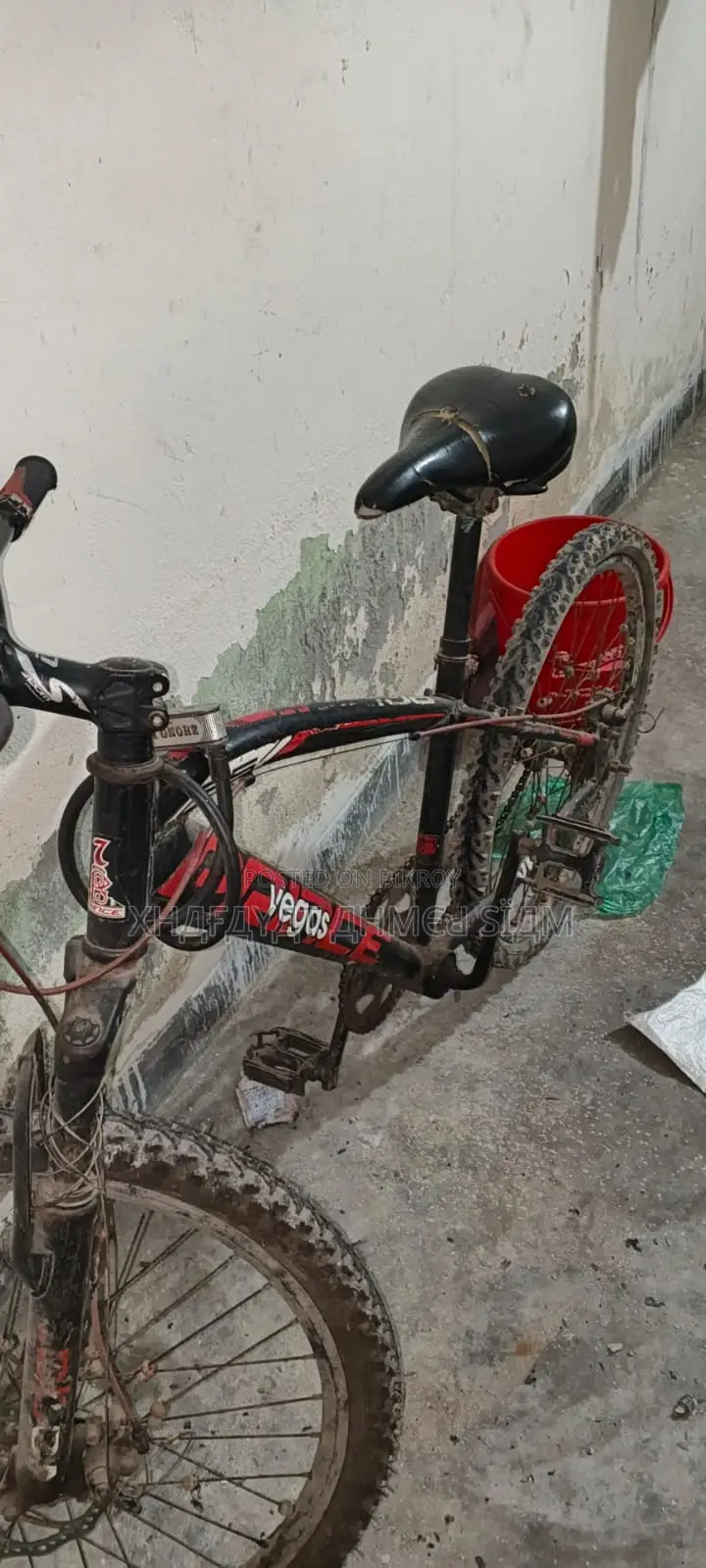 Vegos Cycle