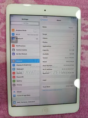 Apple Ipad (used)