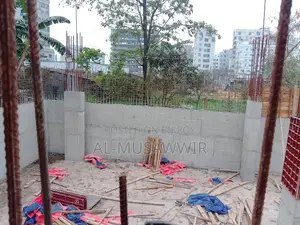 Entry-Level Investment Business Area—Swapno Sindhu Project