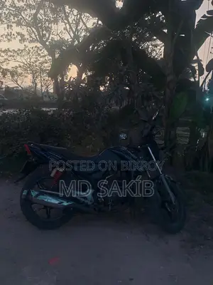 Dayang Runner Other Model . 2018