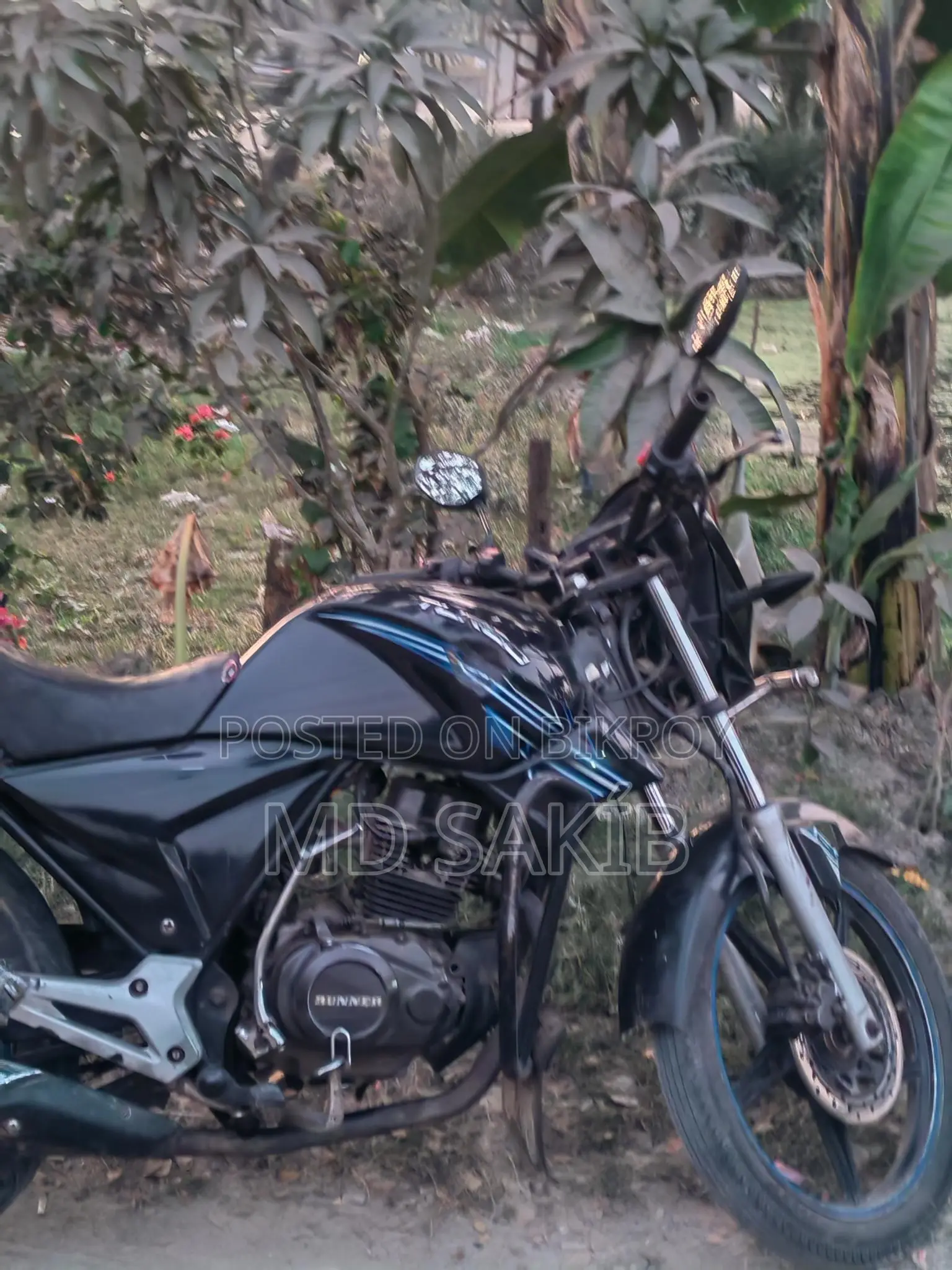 Dayang Runner Other Model . 2018