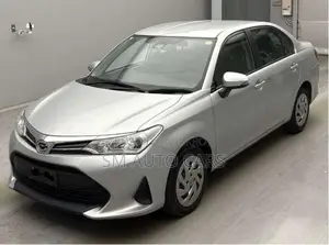 Toyota Axio Non Hybrid EX Silver 2021