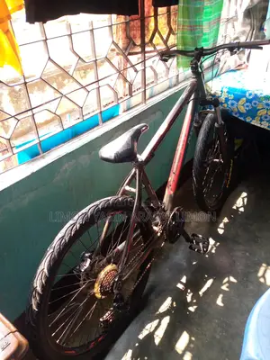 Phoenix Bicycle for sale