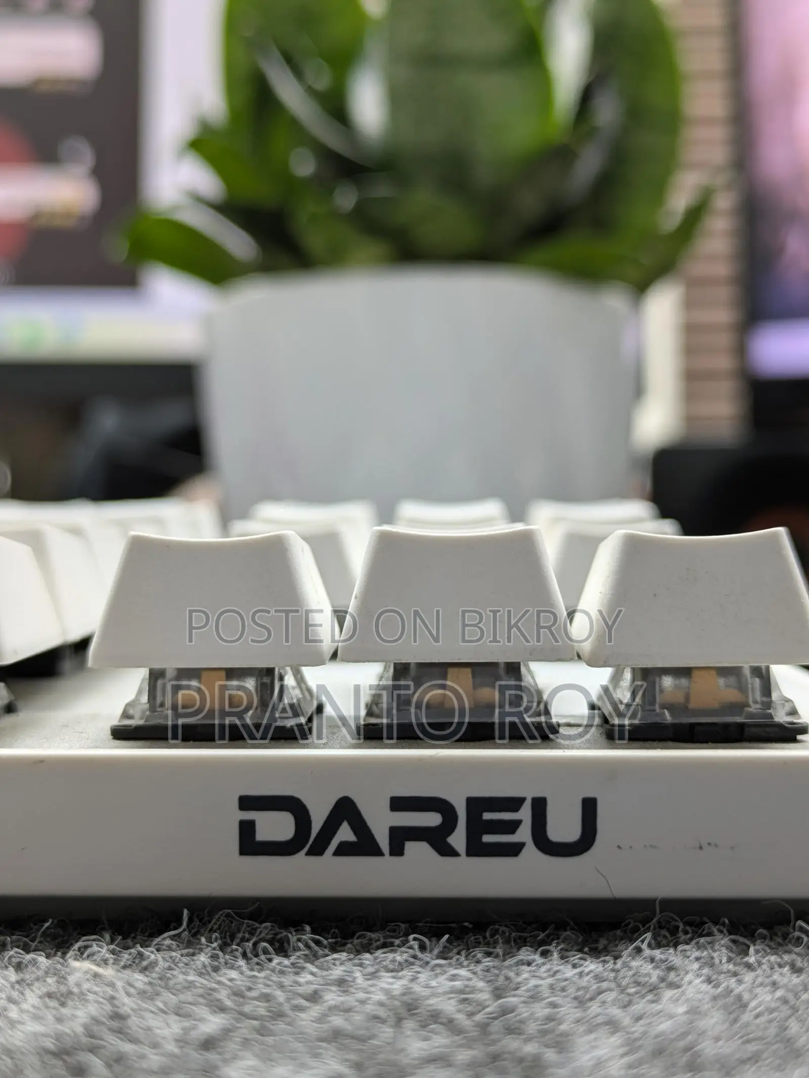Dareu EK 807G