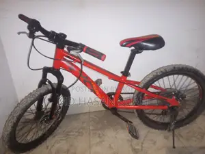 Veloce junior bicycle