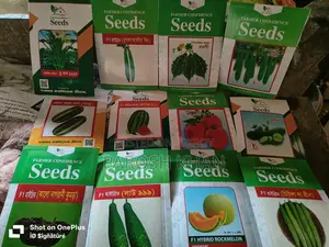 High-Quality Premium Seeds