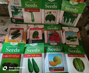 High-Quality Premium Seeds
