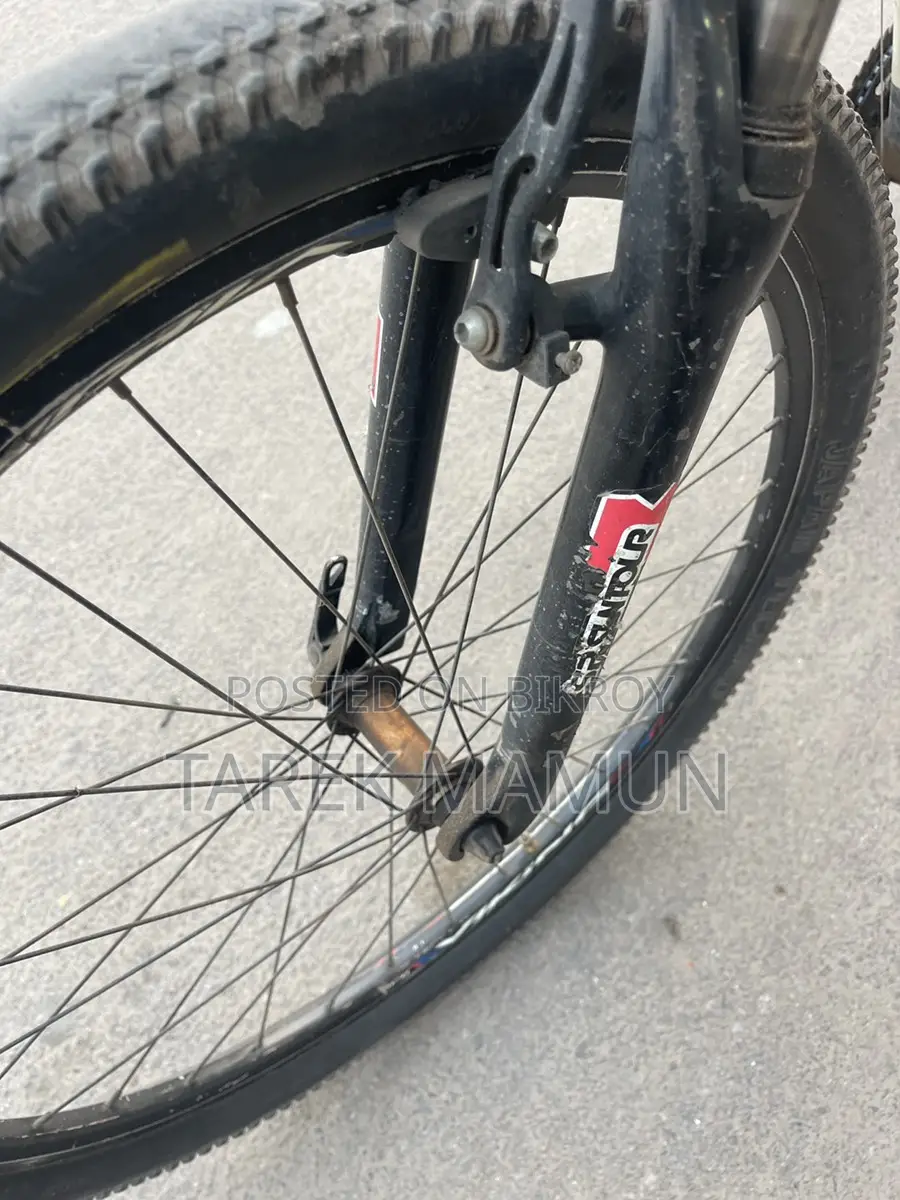 Nekro Cycle