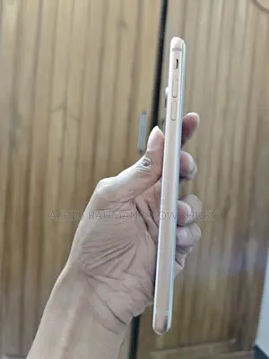 Apple iPhone 8 Plus 256 GB (ব্যবহৃত)