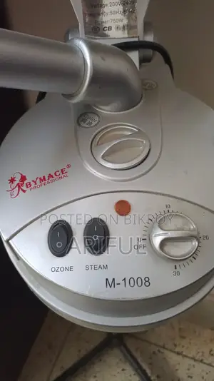 Head And Face Steamer
