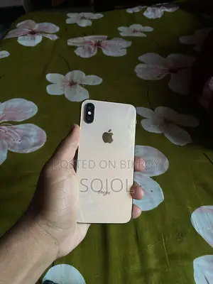 Apple iPhone XS 256GB (Used)
