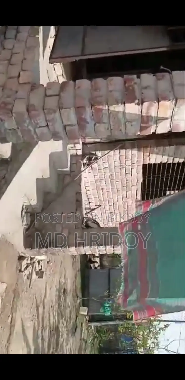 5 Katha Residential Land with Building for Sale