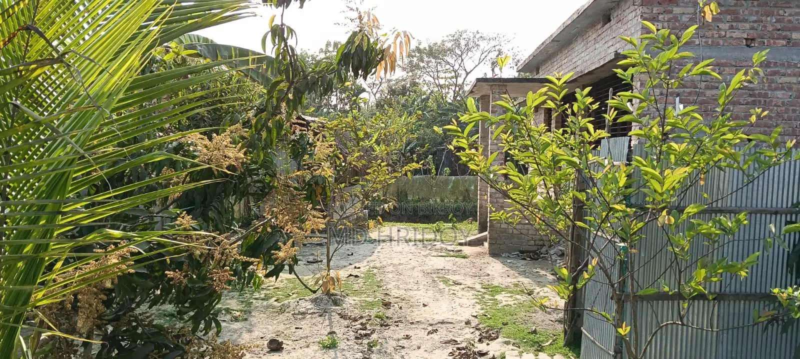 5 Katha Residential Land with Building for Sale