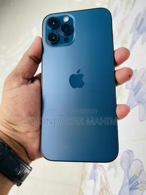 Apple iPhone 12 Pro Max 256GB (Used)
