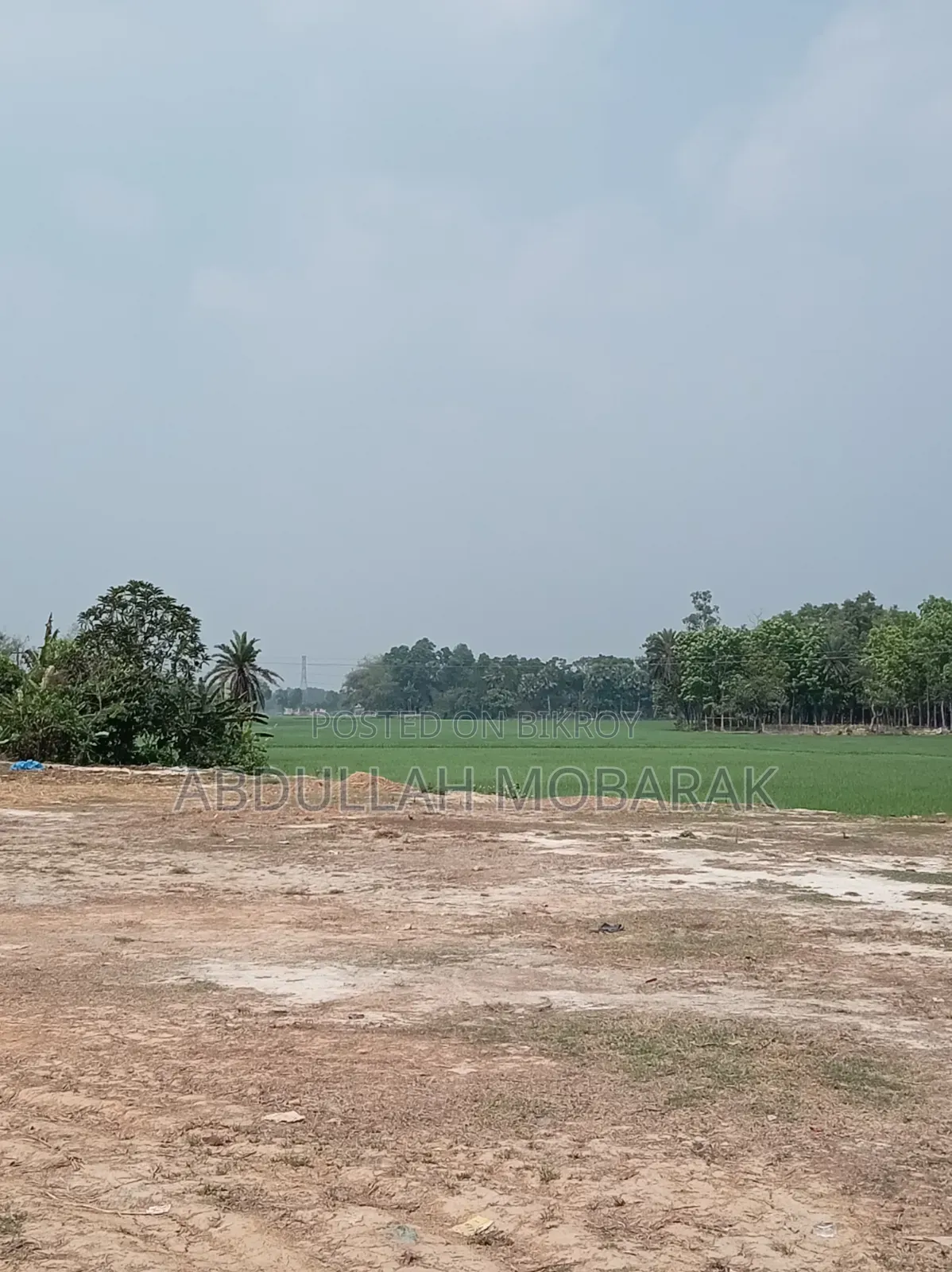 রাস্তার উপর মাটি উঠানো ১ বিঘা জমি