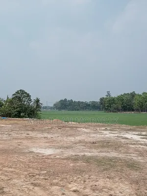 1 Bigha Land with Raised Soil on Roadside