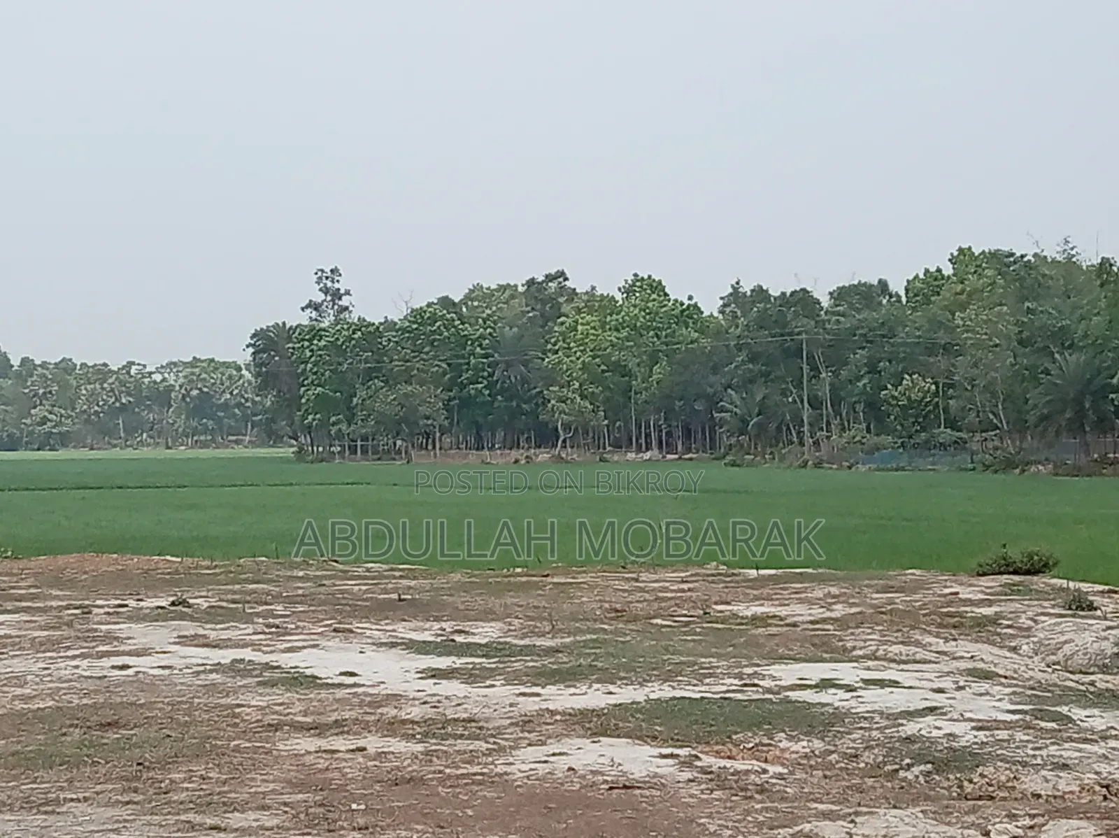 রাস্তার উপর মাটি উঠানো ১ বিঘা জমি