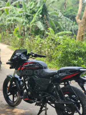 Bajaj Pulsar 150 . 2022