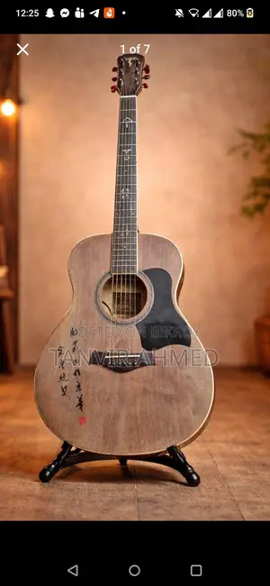 Guitar