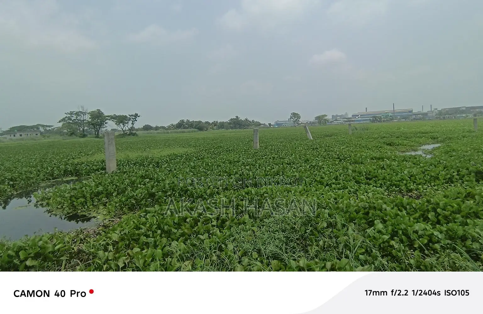 আমি জমি বিক্রি করবো