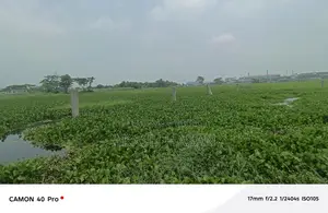 আমি জমি বিক্রি করবো
