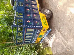 Tata ACE EX2 2016