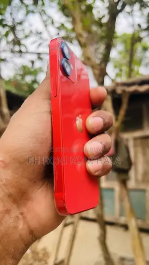 Apple iPhone 12 Mini (Used)