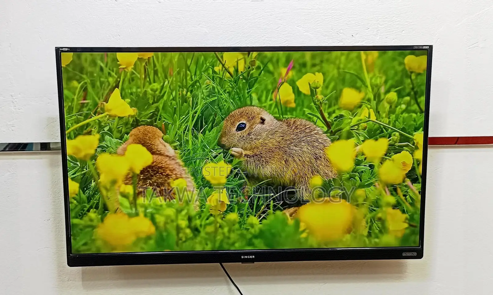 SINGER-43 INCHE SMART ANDROID TV