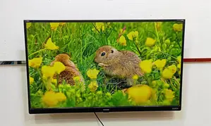 SINGER-43 INCHE SMART ANDROID TV