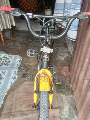 Duranta Bicycle for sale