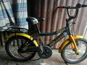 Duranta Bicycle for sale