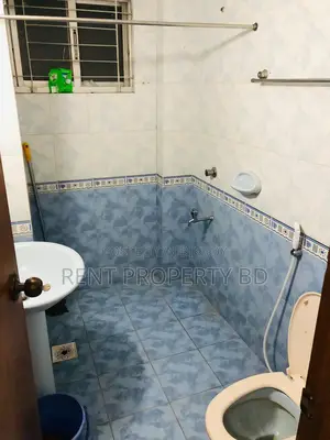 Full furnished apartment rent in Banani 1213