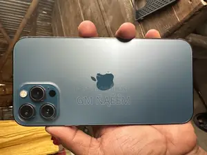 Apple iPhone 12 Pro Max 256gb (Used)