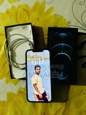 Apple iPhone 12 Pro Max 256gb (Used)