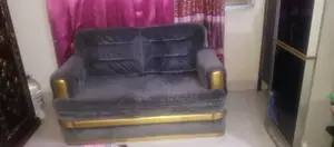 Professional Sofa Wash and Polish Services