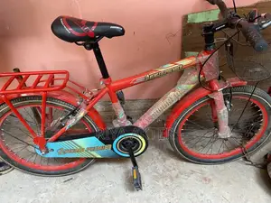 Duranta Bicycle For Sale