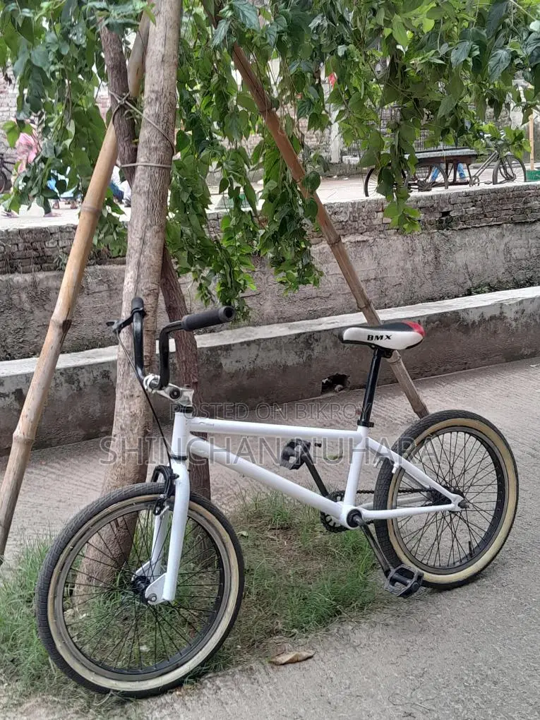 Bmx Cycle