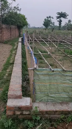 5 decimal land for sale, Bank Town, Bottola, near Phulbagan
