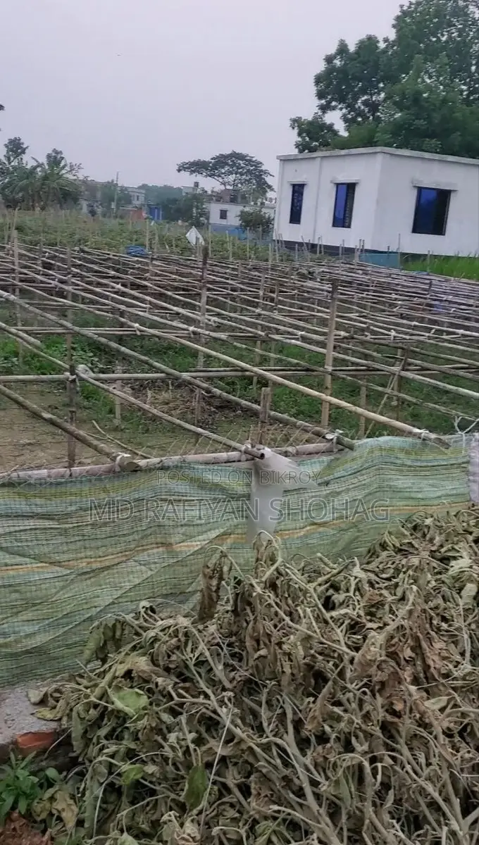 5 decimal land for sale, Bank Town, Bottola, near Phulbagan
