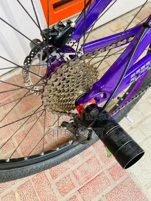 Bicycle For Sale