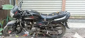 Walton Cruize 100 CC 2018