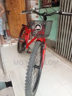 Duranta Bicycle for sale