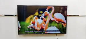 LG-43" Inche Smart Voice Control Dolby Audio Sound
