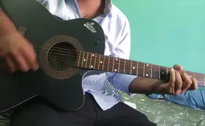Signature Guitar Bose Enterprise