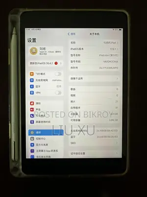 Apple Ipad Mini 5 (used)