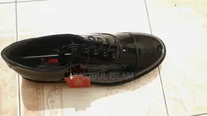 For formal shoes, Apex Shining is the best.