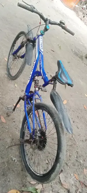 Running Cycle