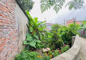 জরুরি ভিত্তিতে বিক্রয়যোগ্য প্লট Ready for Construction